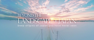 Beyond the Landscape of Japan
