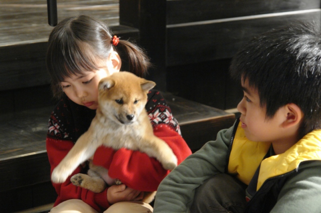 (c)2007 "A tale of Mari and three puppies" FILM PARTNERS