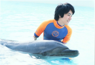 Dolphin Blue -Soar Again, Fuji-