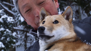 SHIBA-Dreaming of Jomon Dogs