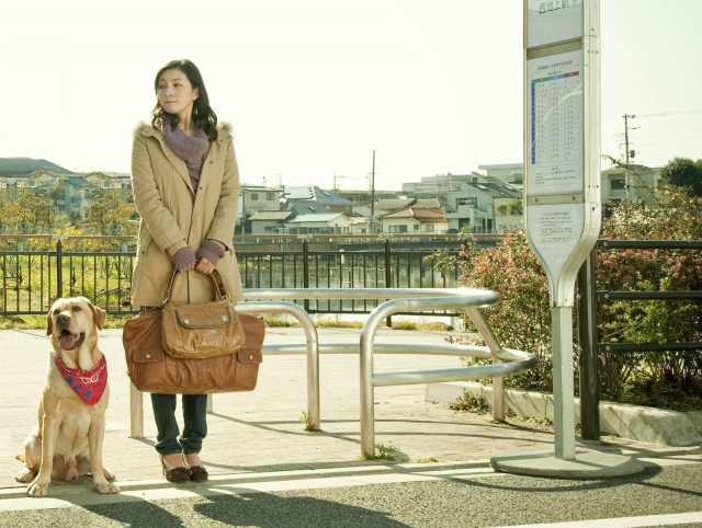 (c) 2012 "Go, Masao!" Film Partners