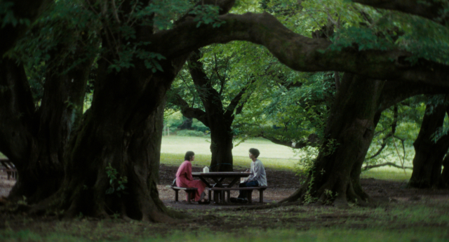 (c)2025 "Leave the Cat Alone" Film Partners