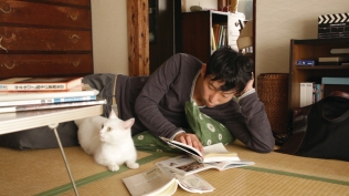 愛しのノラ 幸せのめぐり逢い