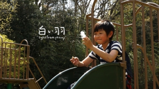 白い羽 “Light from Phony”