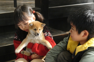 マリと子犬の物語