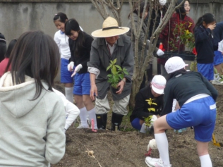 森ウルフ　零零から愛を植える　「宮脇昭 命の森」ドキュメンタリー