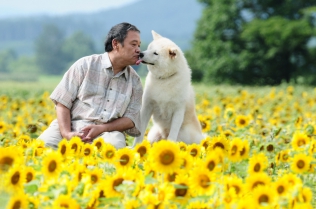 星守る犬