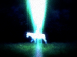 Homicevalo ホミチェヴァロ