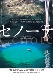 セノーテ