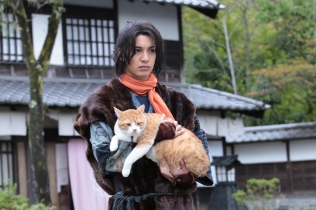 猫忍
