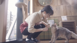 猫カフェ
