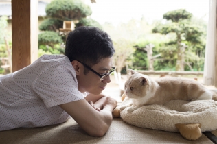 ねこあつめの家