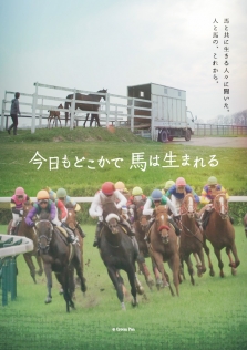 今日もどこかで馬が生まれる
