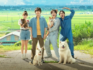 犬部！
