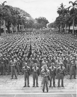 442 日系部隊・アメリカ史上最強の陸軍