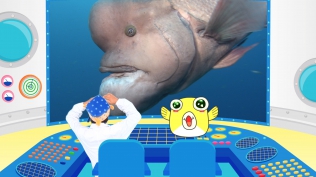 さかなクン研究所 さかなの世界へレッツギョー！ 飛ぶ！闘う！踊る！編