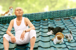 ねこばん3Ｄ　とび出すにゃんこ