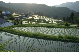 劇場版　里山
