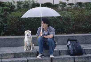 犬と歩けば チロリとタムラ