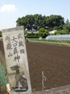 オオカミの護符 - 里びとと山びととのあわいに -