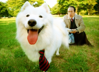 犬飼さんちの犬