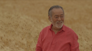 NORIN TEN 稲塚権次郎物語